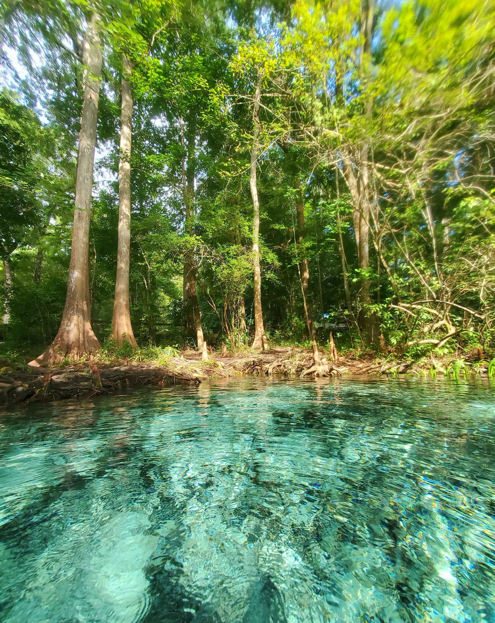 Lakeside Haven RV Park Chronicles: Unveiling Florida’s Hidden Gems